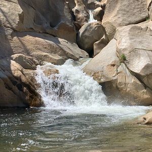 Meet your Posher, Jared